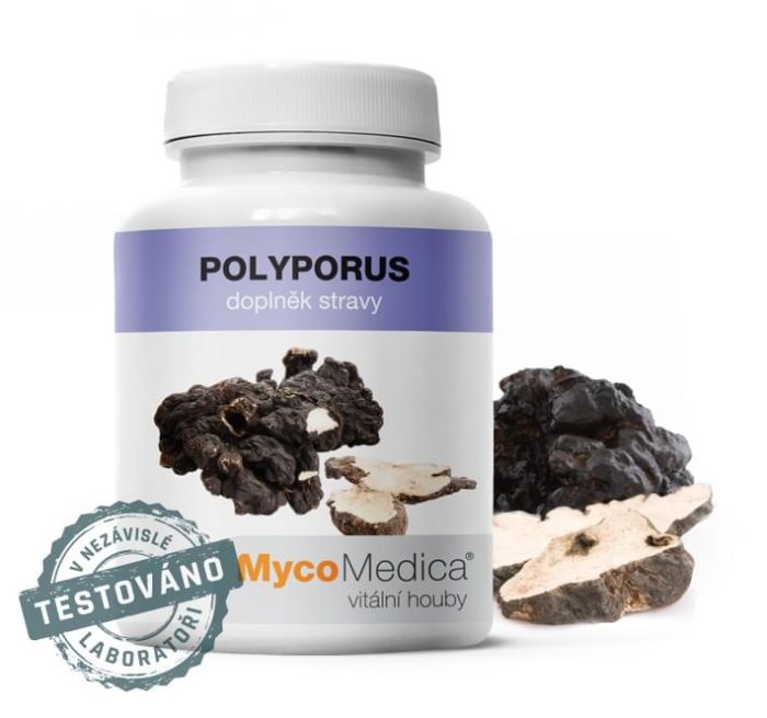 Polyporus