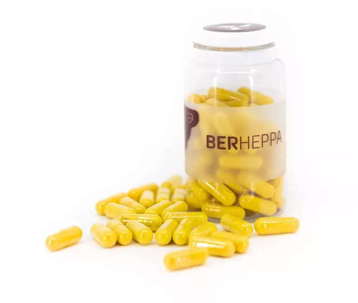 BERHEPPA - Image 2